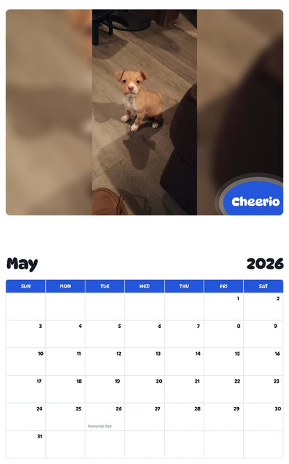2026 - 2027 Cheerio - Pawidols Pet Calendar