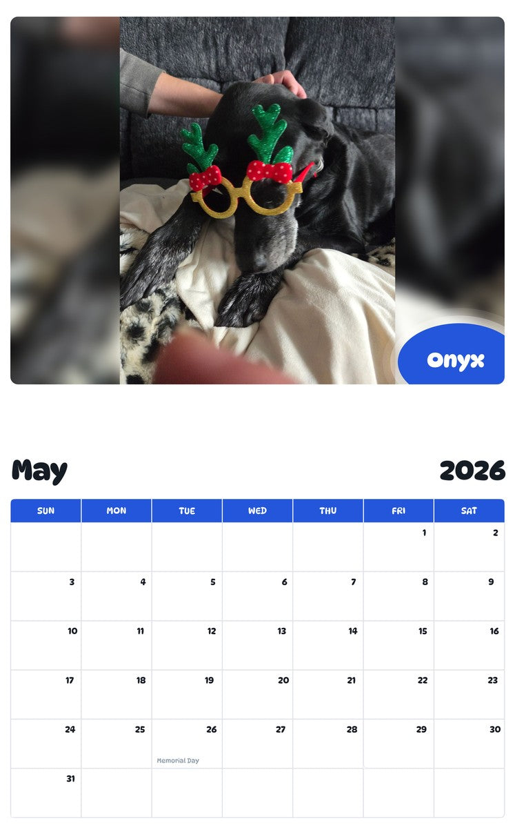2026 - 2027 Onyx - Pawidols Pet Calendar