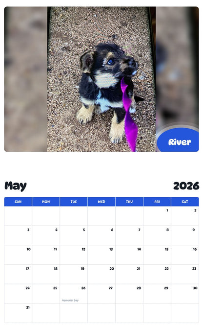2026 - 2027 River - Pawidols Pet Calendar