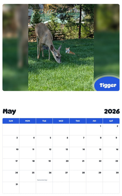2026 - 2027 Tigger - Pawidols Pet Calendar