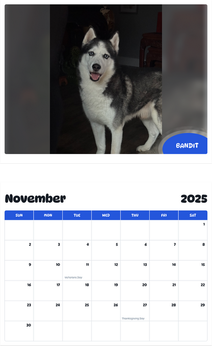 July 2025 - June 2026 Bandit - Pawidols Pet Calendar