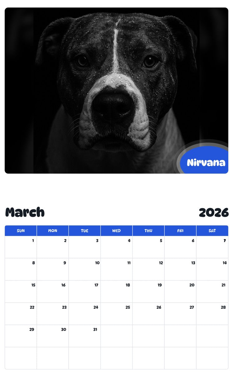 November 2025 - October 2026 Nirvana - Pawidols Pet Calendar