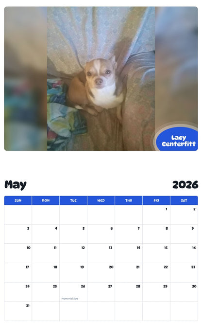 2026 - 2027 Lacy Centerfitt - Pawidols Pet Calendar