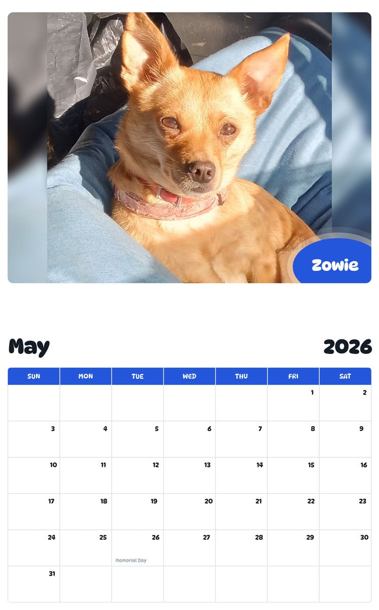2026 - 2027 Zowie - Pawidols Pet Calendar