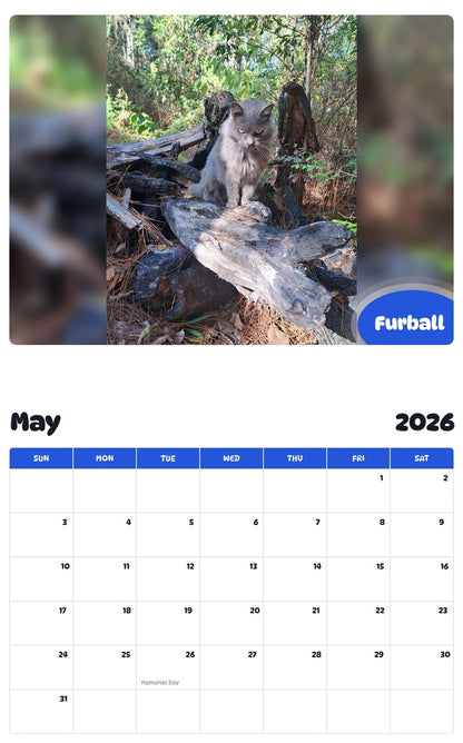 2026 - 2027 Furball - Pawidols Pet Calendar