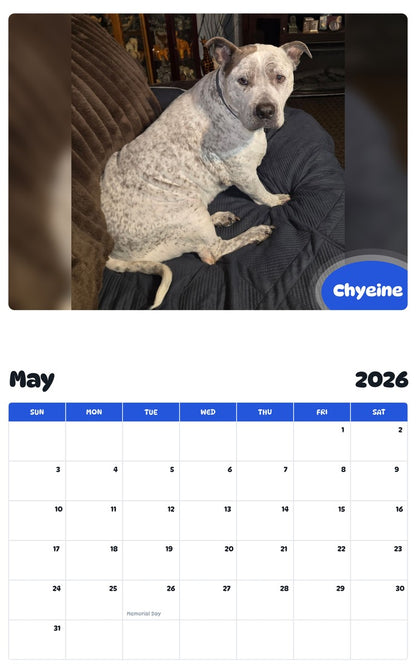 2026 - 2027 Chyeine - Pawidols Pet Calendar