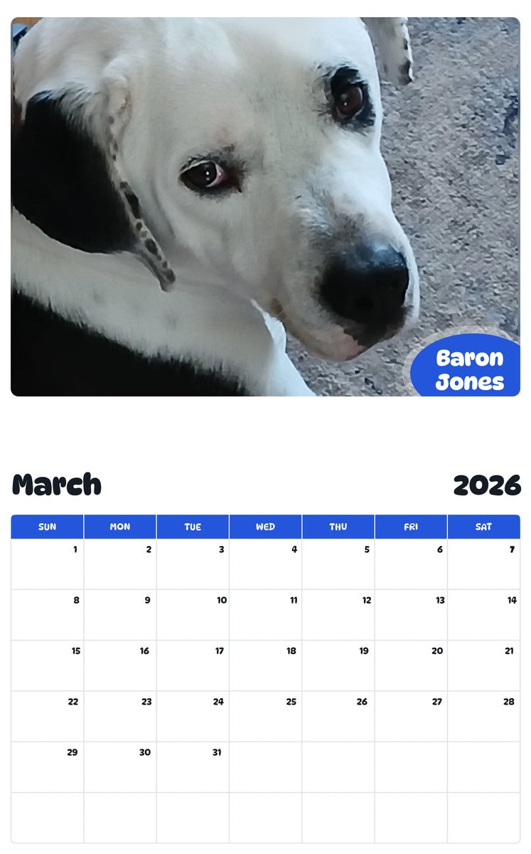 November 2025 - October 2026 Baron Jones - Pawidols Pet Calendar