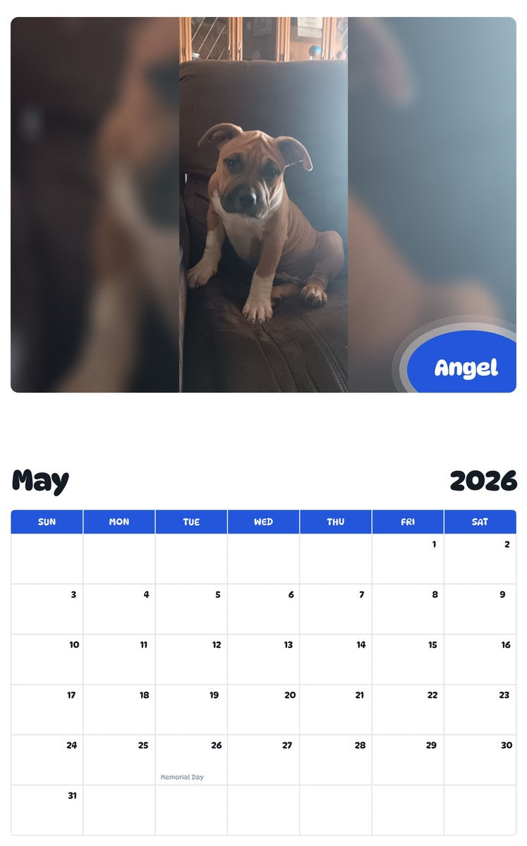 2026 - 2027 Angel - Pawidols Pet Calendar