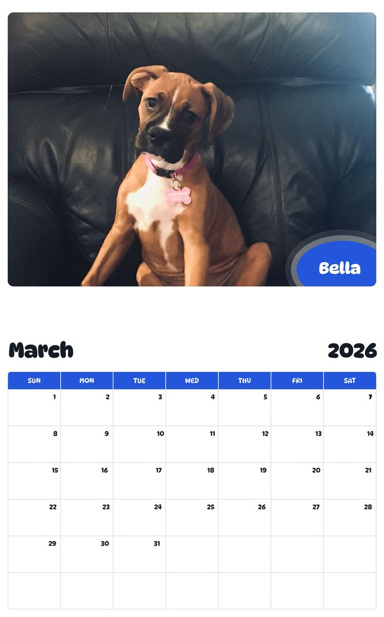 November 2025 - October 2026 Bella - Pawidols Pet Calendar