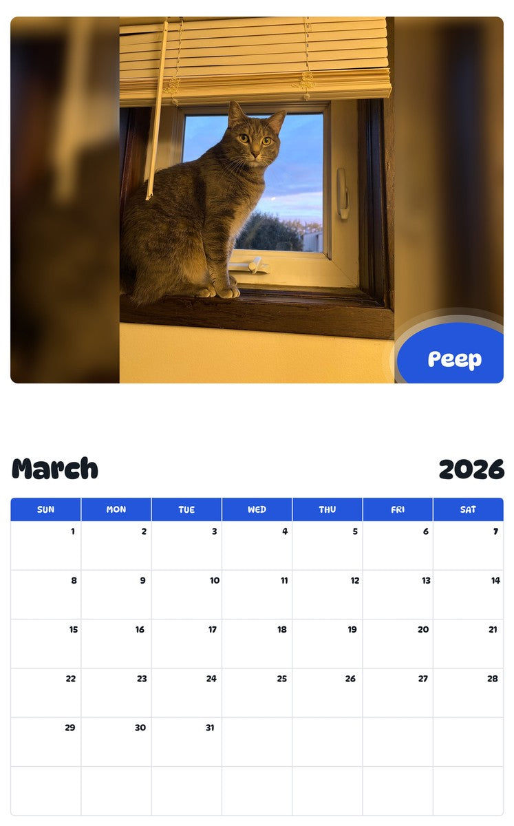 November 2025 - October 2026 Peep - Pawidols Pet Calendar