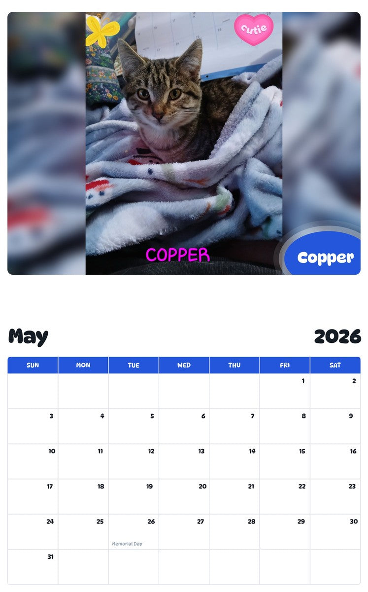 2026 - 2027 Copper - Pawidols Pet Calendar