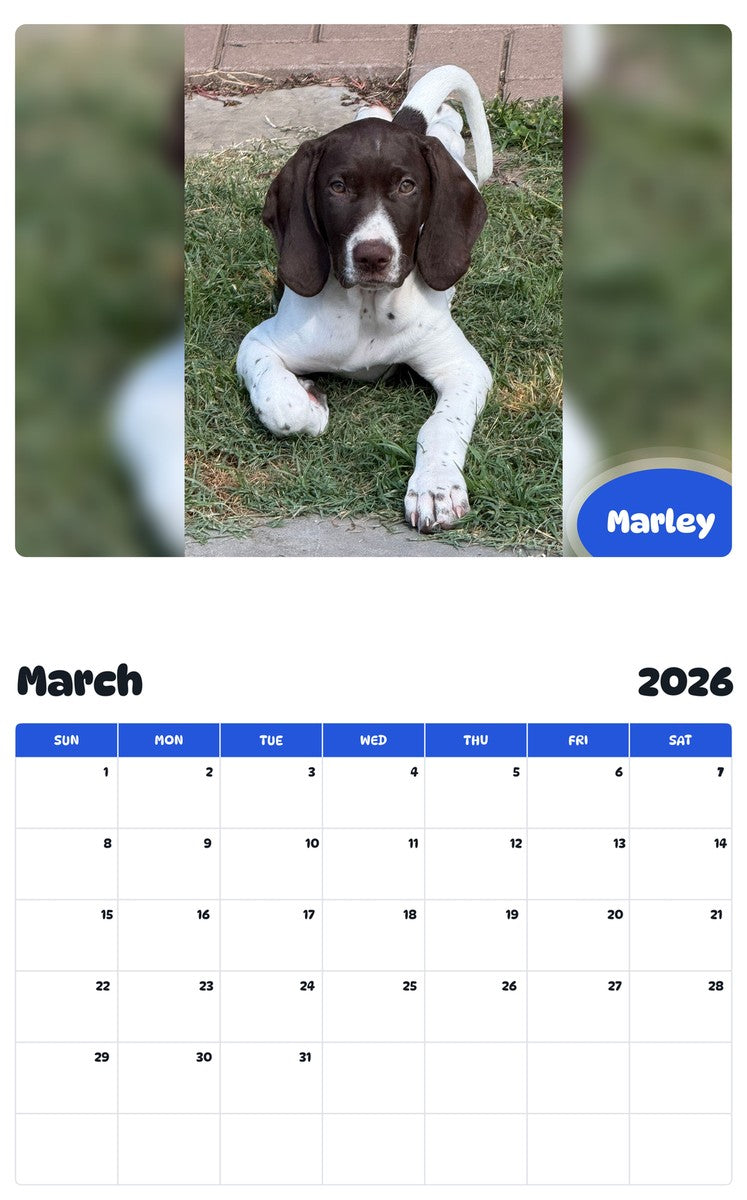 November 2025 - October 2026 Marley - Pawidols Pet Calendar