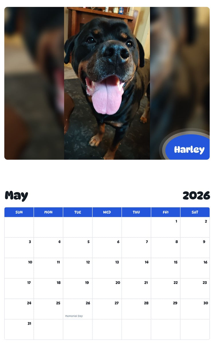 2026 - 2027 Harley - Pawidols Pet Calendar