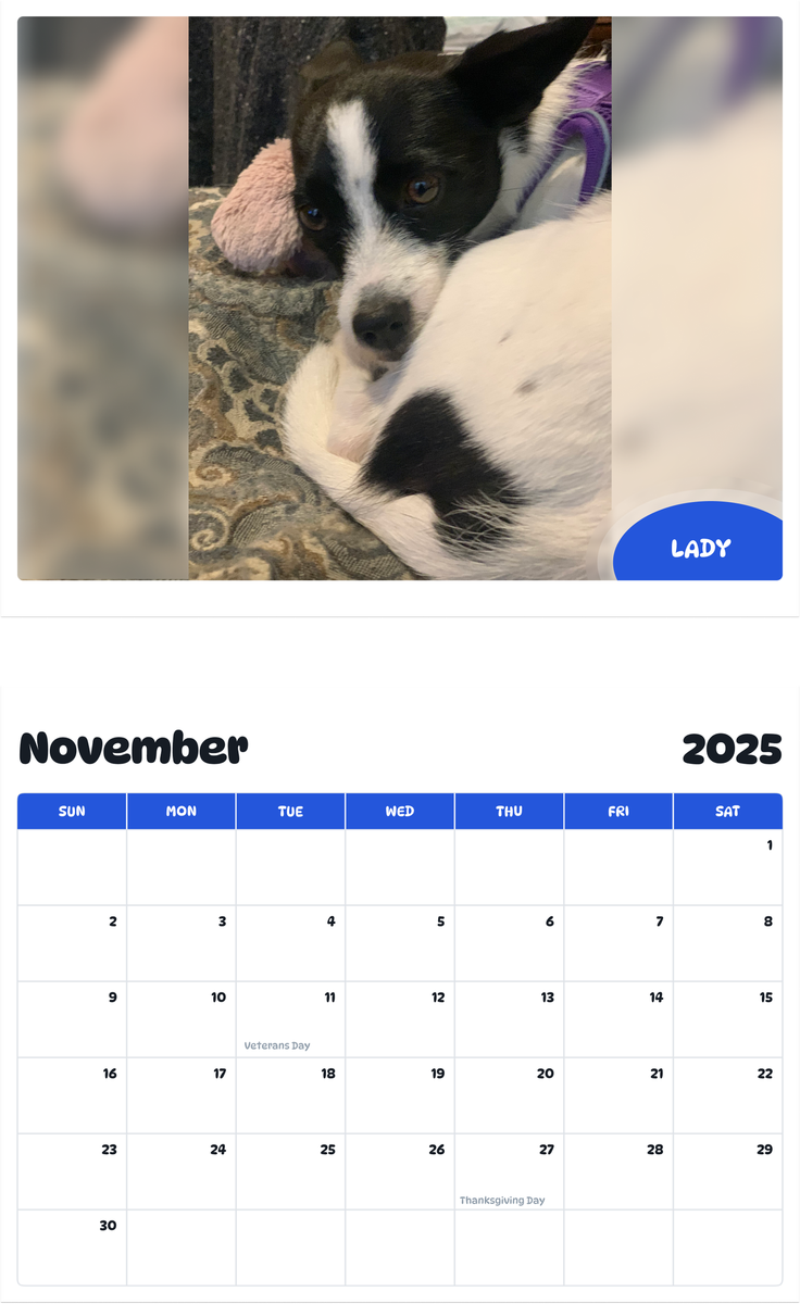 July 2025 - June 2026 Lady - Pawidols Pet Calendar