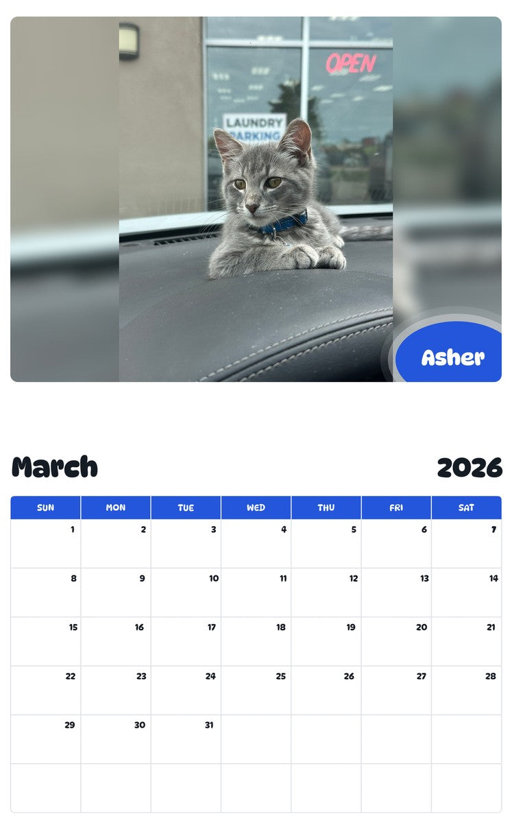 November 2025 - October 2026 Asher - Pawidols Pet Calendar