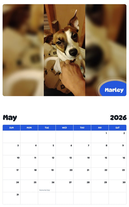 2026 - 2027 Marley - Pawidols Pet Calendar
