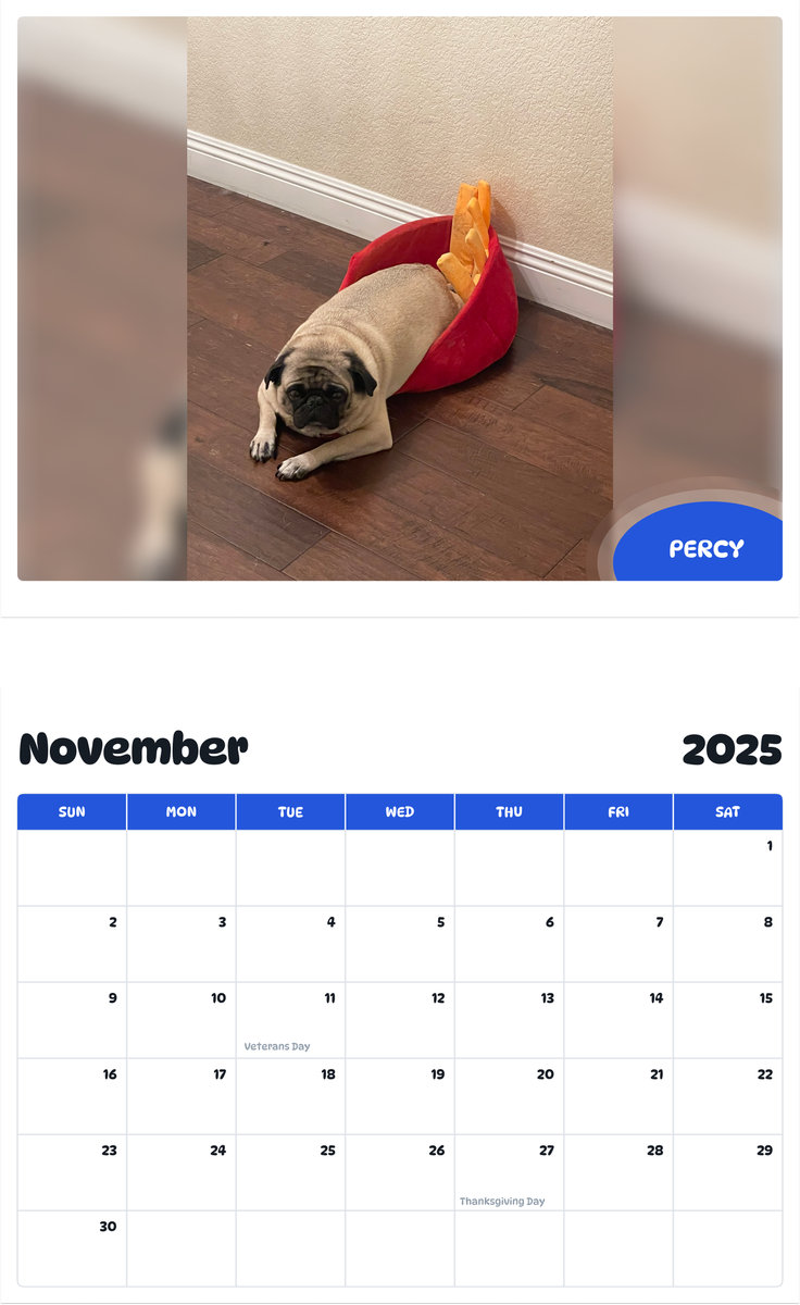 July 2025 - June 2026 Percy - Pawidols Pet Calendar