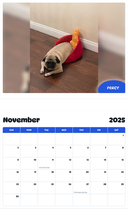 July 2025 - June 2026 Percy - Pawidols Pet Calendar