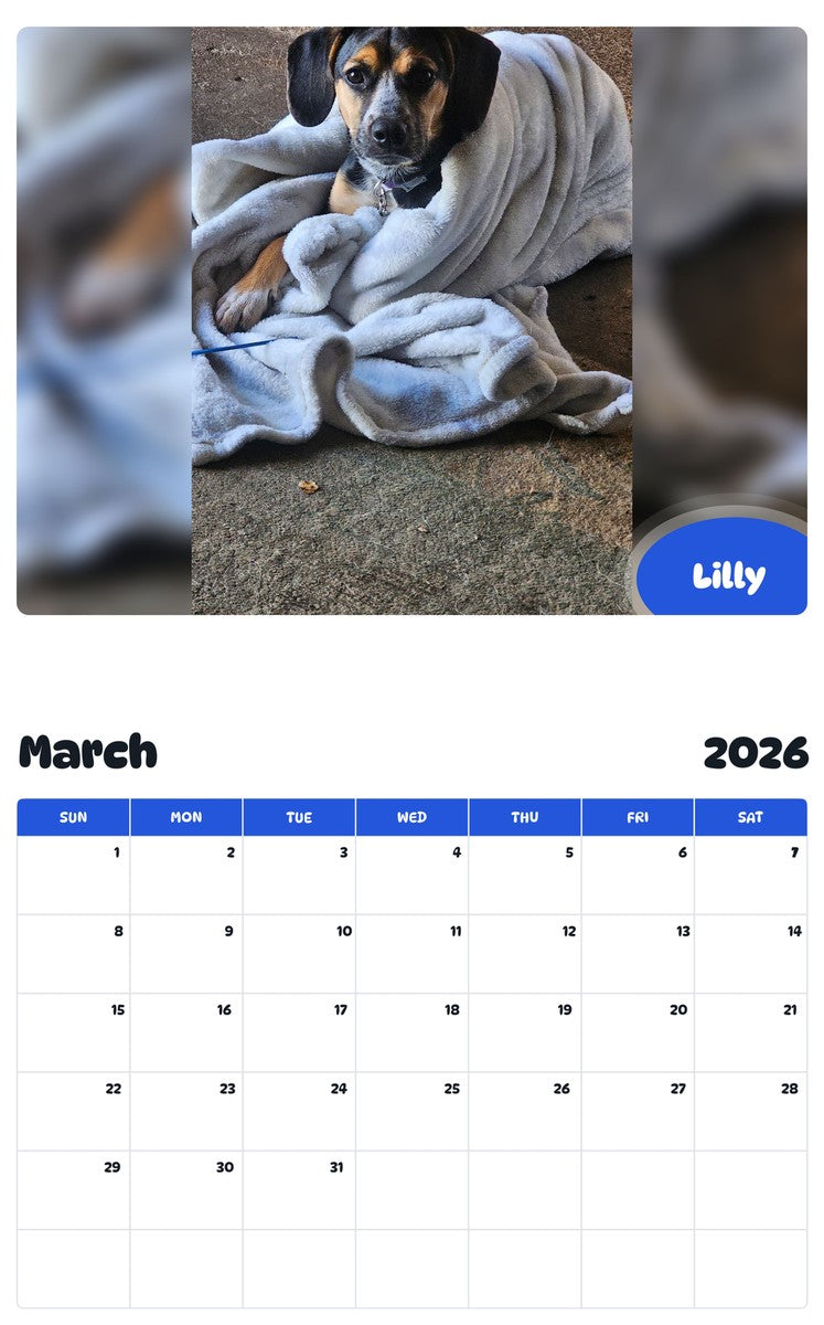 November 2025 - October 2026 Lilly - Pawidols Pet Calendar