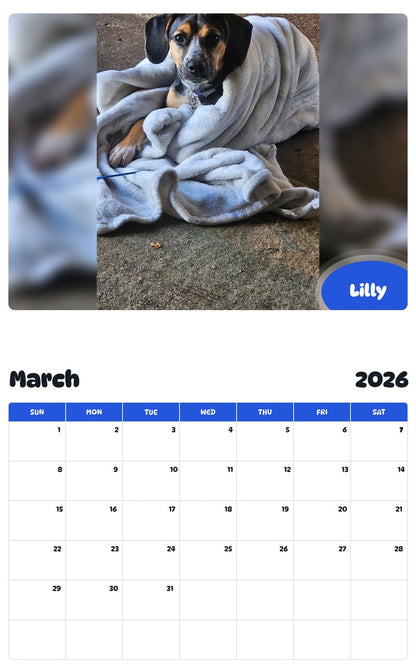 November 2025 - October 2026 Lilly - Pawidols Pet Calendar