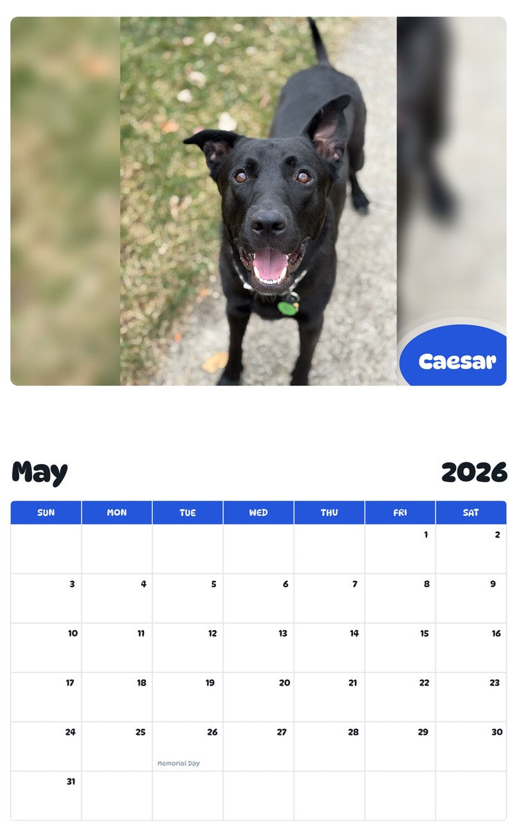 2026 - 2027 Caesar - Pawidols Pet Calendar