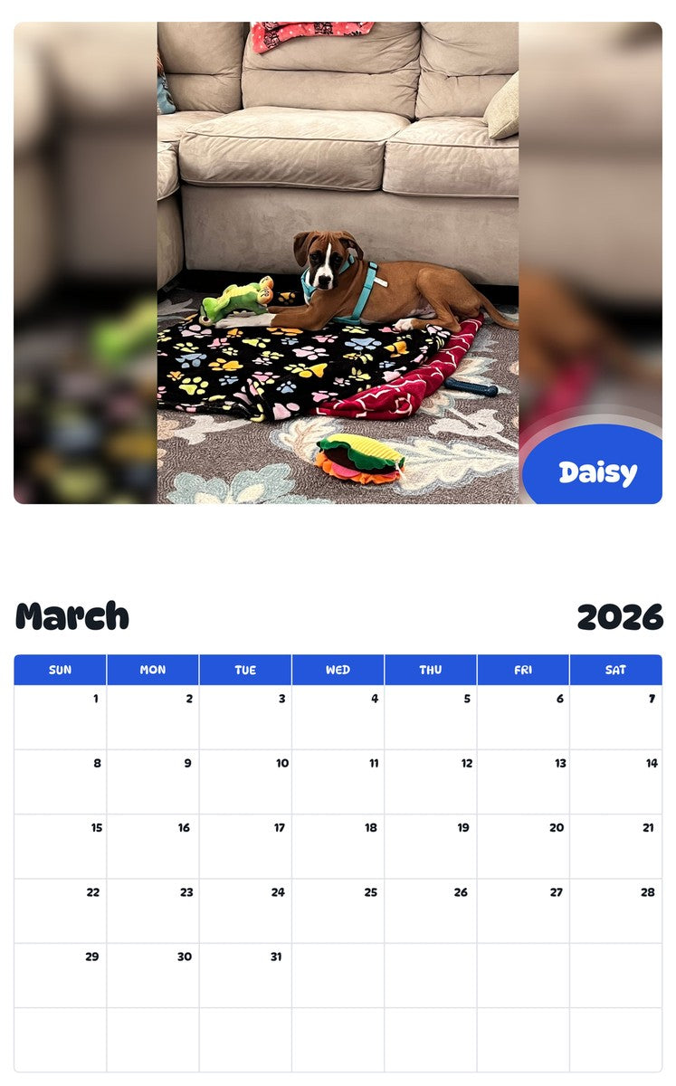 November 2025 - October 2026 Daisy - Pawidols Pet Calendar