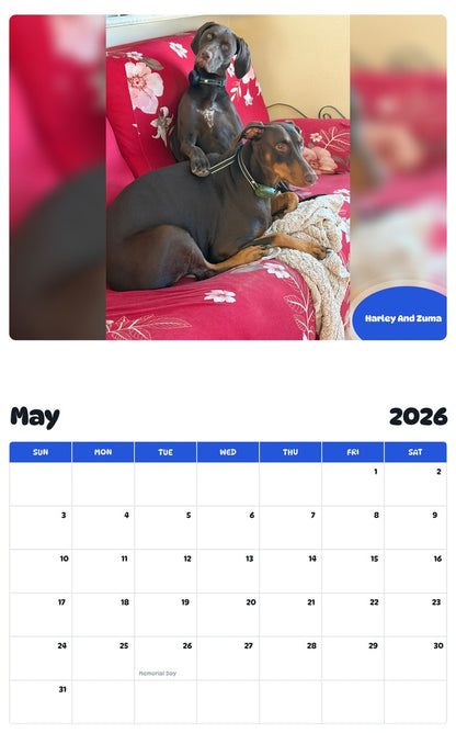 2026 - 2027 Harley And Zuma - Pawidols Pet Calendar