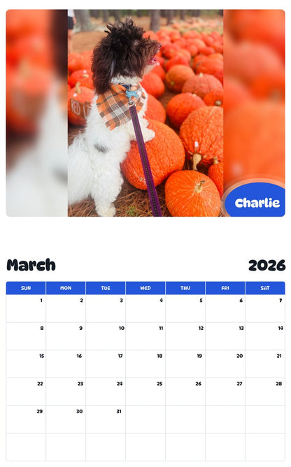 November 2025 - October 2026 Charlie - Pawidols Pet Calendar