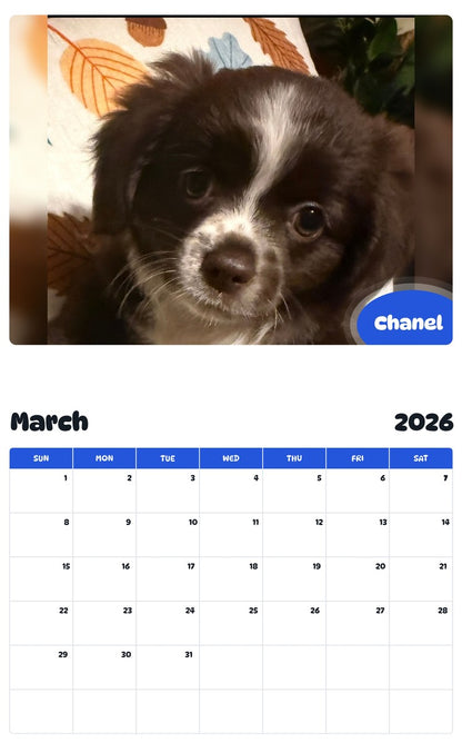 November 2025 - October 2026 Chanel - Pawidols Pet Calendar