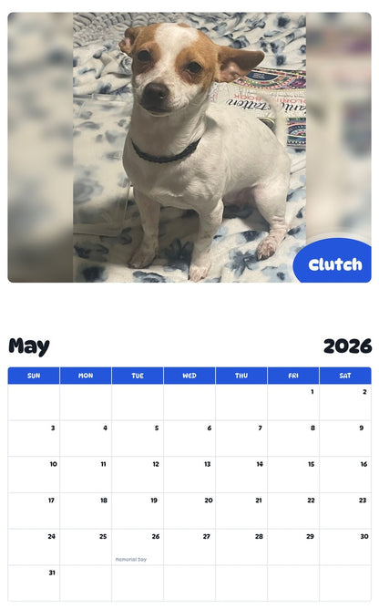 2026 - 2027 Clutch - Pawidols Pet Calendar