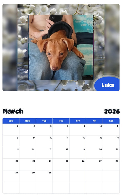 November 2025 - October 2026 Luka - Pawidols Pet Calendar