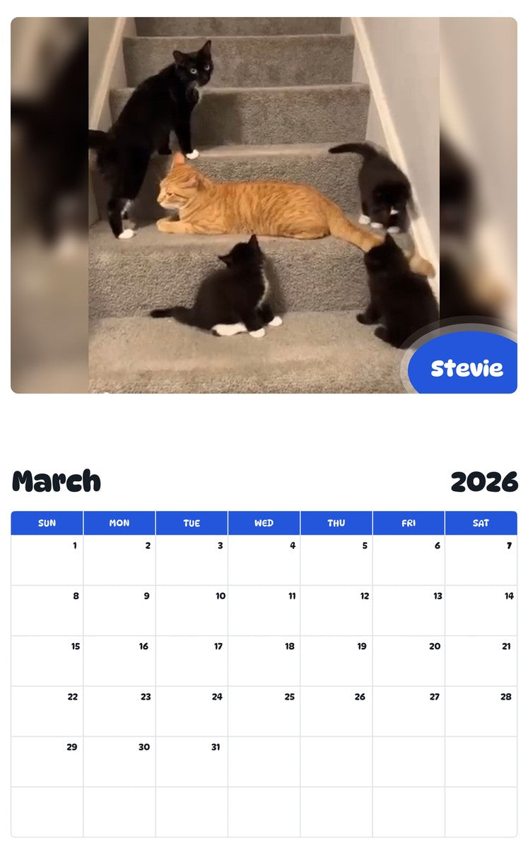 November 2025 - October 2026 Stevie - Pawidols Pet Calendar