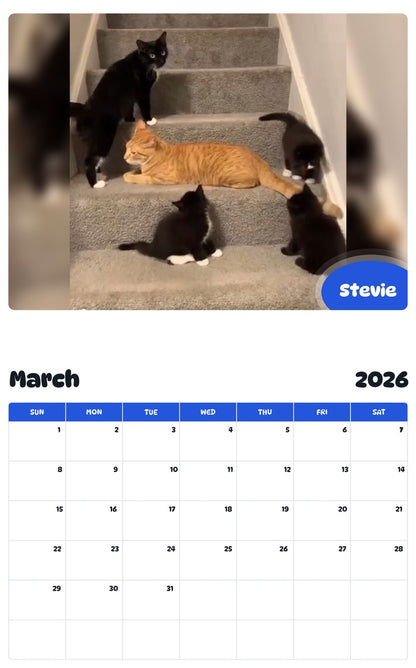November 2025 - October 2026 Stevie - Pawidols Pet Calendar