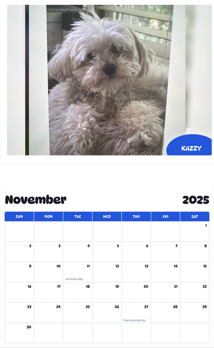 July 2025 - June 2026 Kazzy - Pawidols Pet Calendar