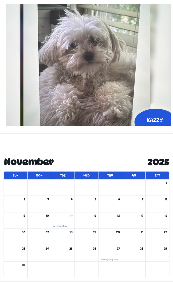 July 2025 - June 2026 Kazzy - Pawidols Pet Calendar