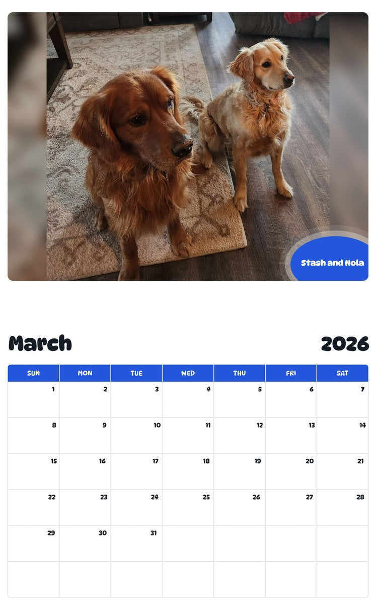 November 2025 - October 2026 Stash and Nola - Pawidols Pet Calendar