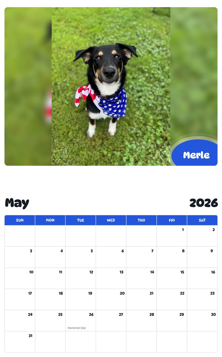 2026 - 2027 Merle - Pawidols Pet Calendar