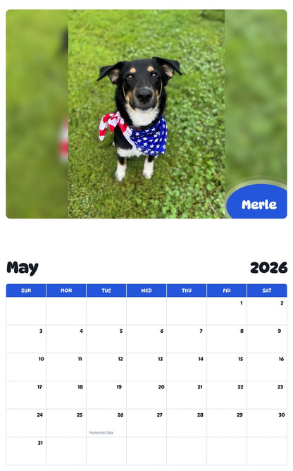 2026 - 2027 Merle - Pawidols Pet Calendar
