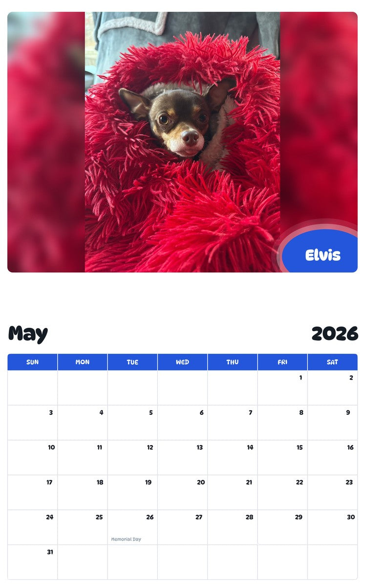 2026 - 2027 Elvis - Pawidols Pet Calendar