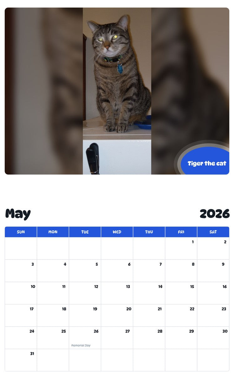 2026 - 2027 Tiger the cat - Pawidols Pet Calendar