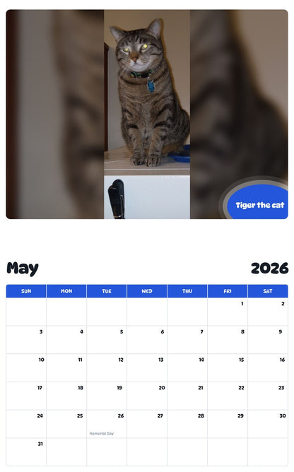 2026 - 2027 Tiger the cat - Pawidols Pet Calendar