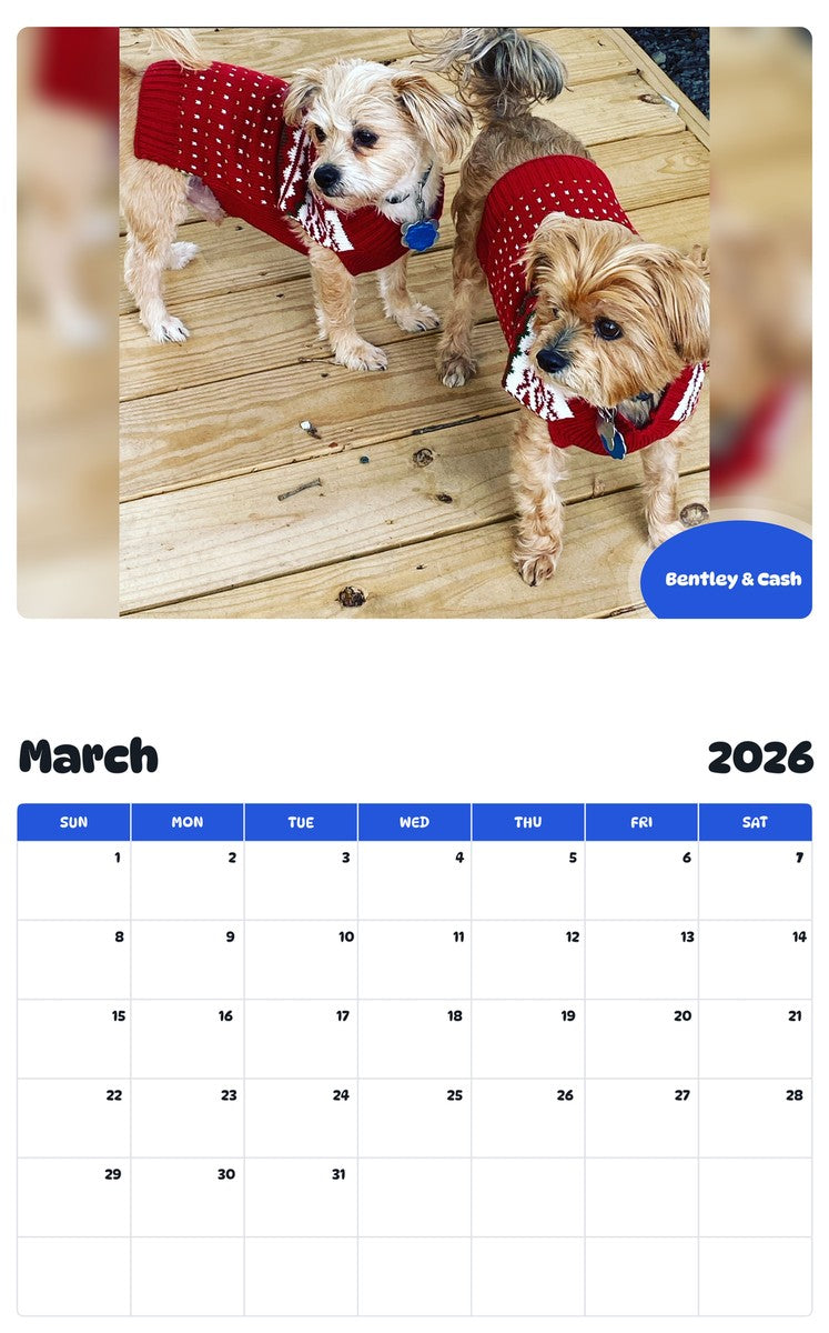November 2025 - October 2026 Bentley & Cash - Pawidols Pet Calendar