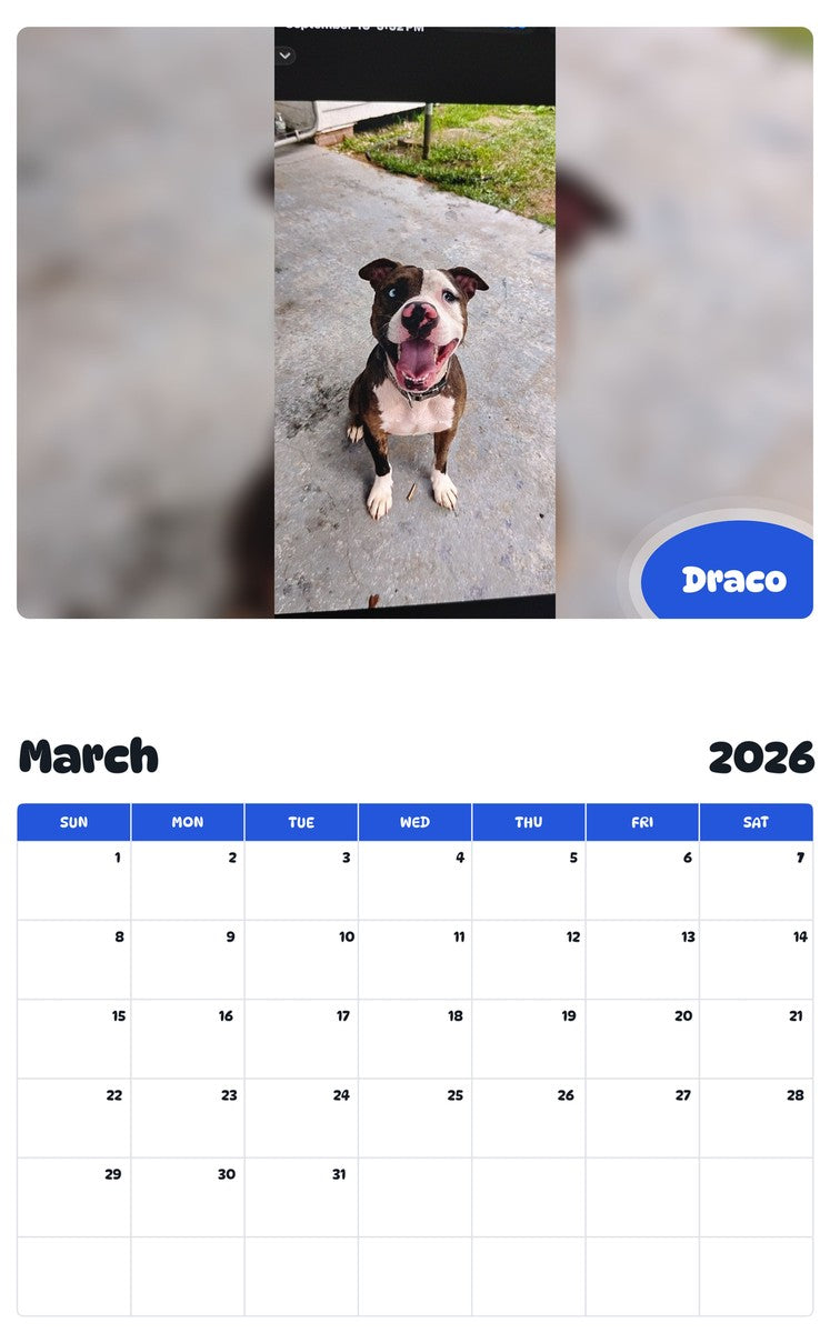 November 2025 - October 2026 Draco - Pawidols Pet Calendar