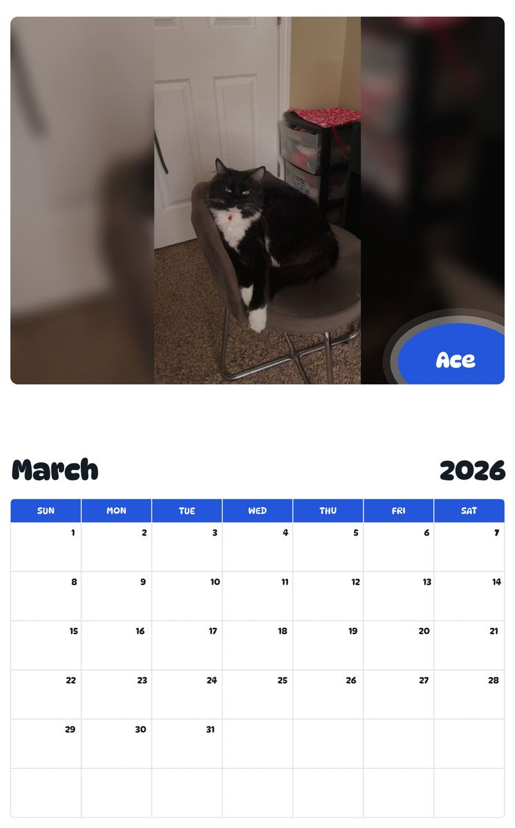 November 2025 - October 2026 Ace - Pawidols Pet Calendar