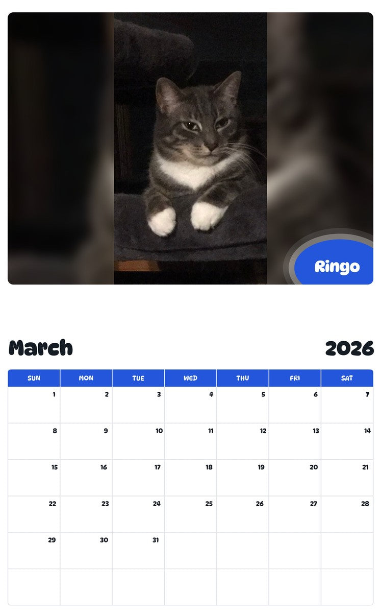 November 2025 - October 2026 Ringo - Pawidols Pet Calendar
