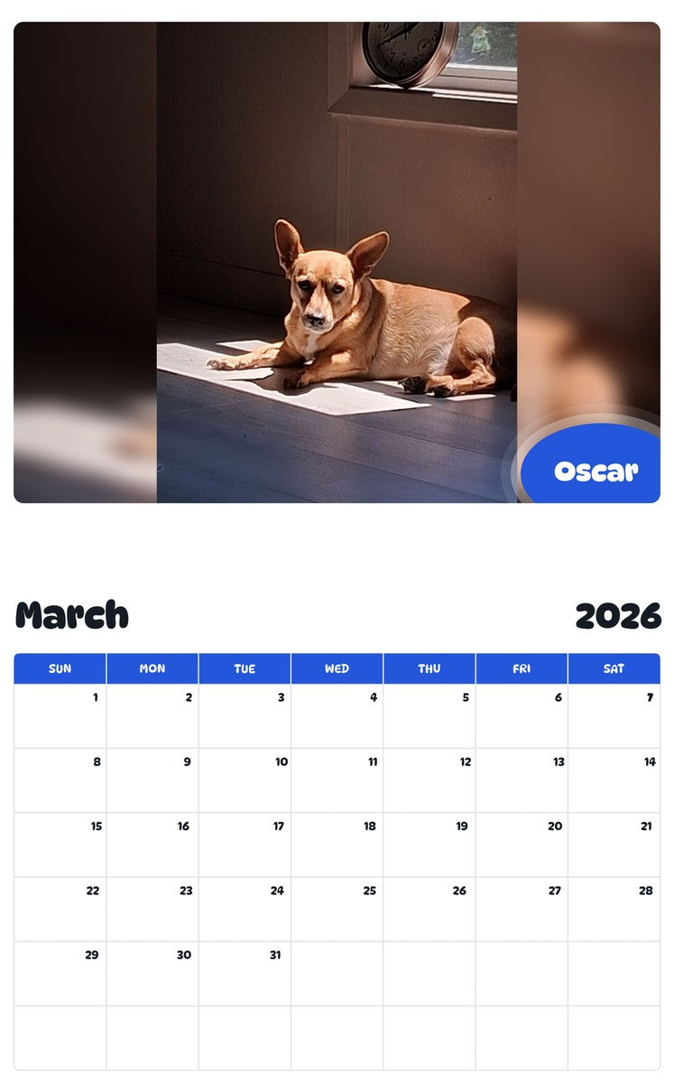 November 2025 - October 2026 Oscar - Pawidols Pet Calendar