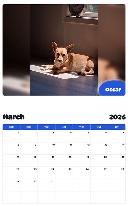 November 2025 - October 2026 Oscar - Pawidols Pet Calendar