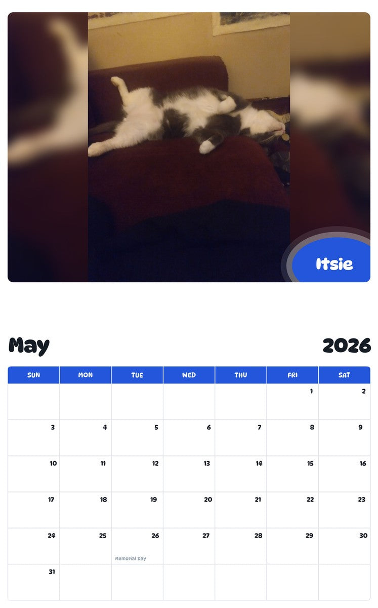 2026 - 2027 Itsie - Pawidols Pet Calendar