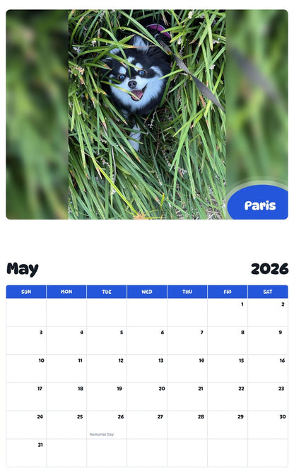 2026 - 2027 Paris - Pawidols Pet Calendar