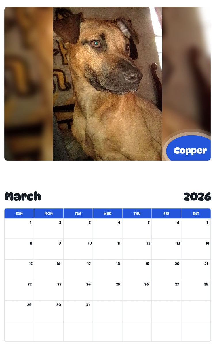 November 2025 - October 2026 Copper - Pawidols Pet Calendar